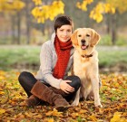 How to hire a pet sitter