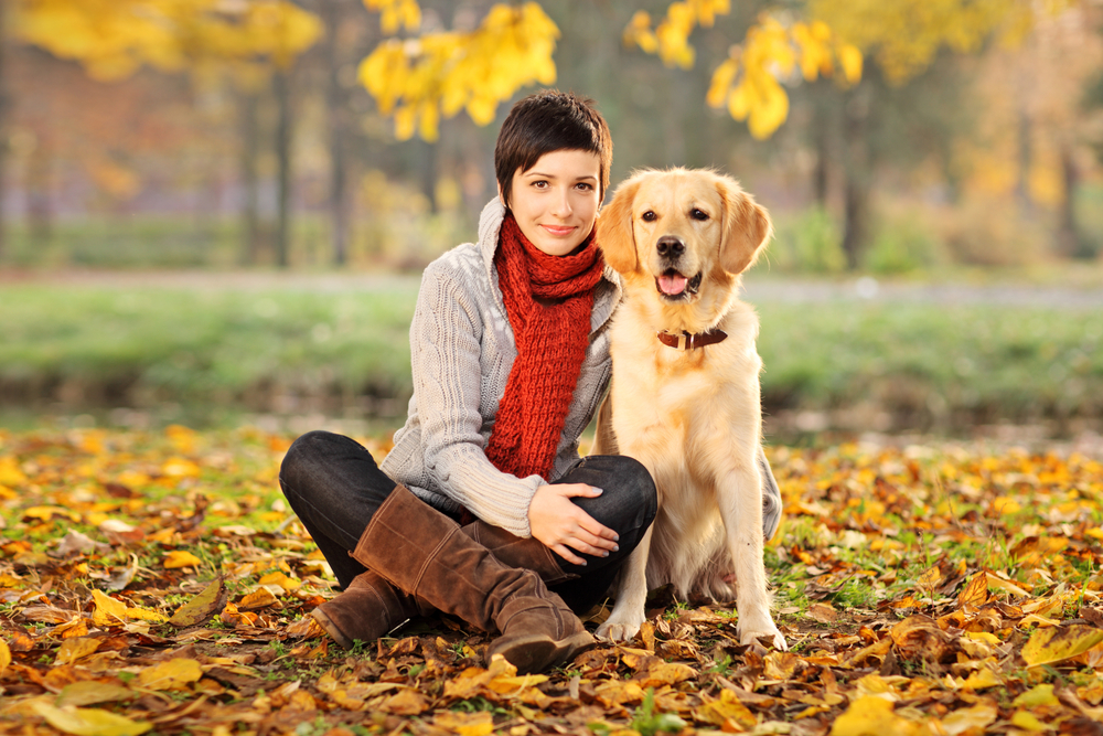 How to hire a pet sitter | iVenusiVenus